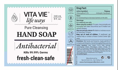 Vita Vie Antibacterial Hand Soap.jpg (Vita Vie Antibacterial Hand Soap)